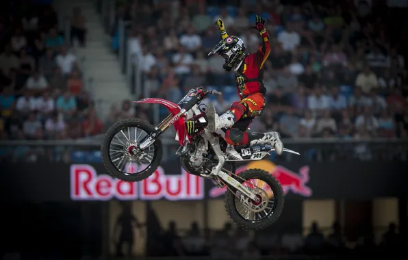 Moto, red bull, x-fighters hd wallpapers, nate adams, x games