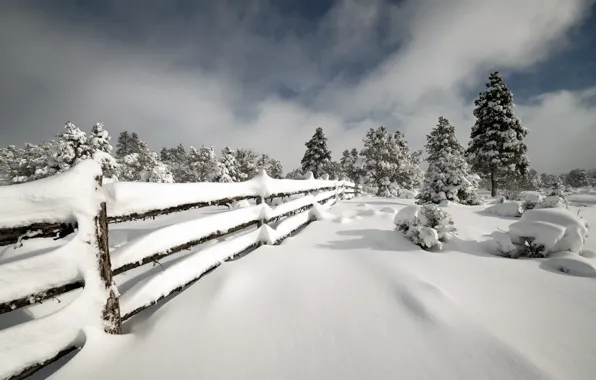 Picture winter, snow, the fence