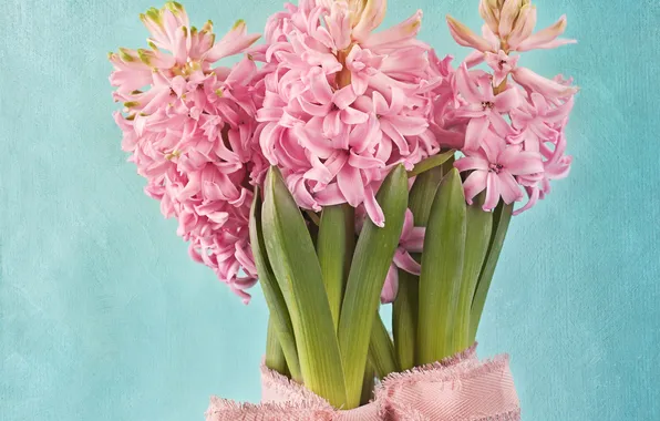 Picture leaves, background, pink, flowers, braid, Hyacinths