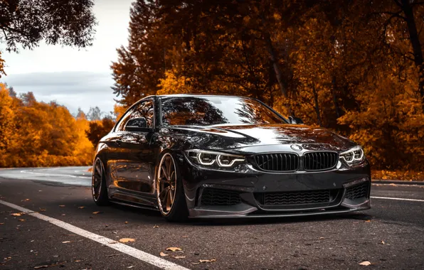 Autumn, BMW, BMW, Car, BMW 4-Series, 4-Series