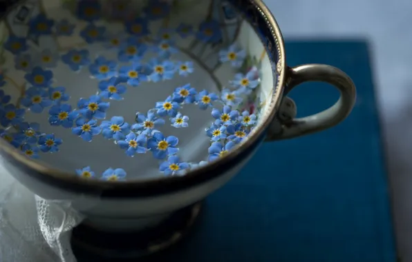 Picture macro, tea, Cup