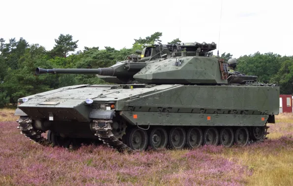 Picture machine, forest, grass, combat, infantry, CV-9030