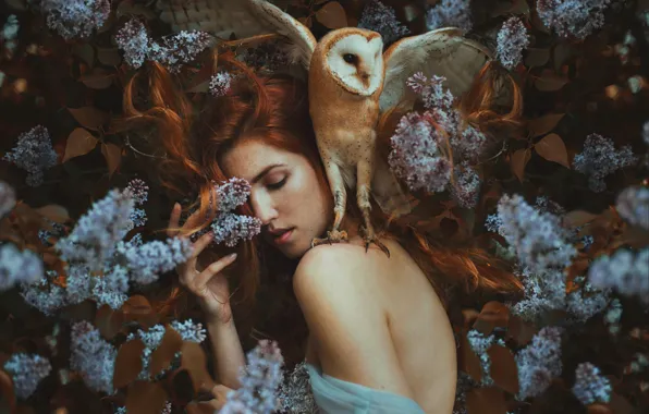 Girl, flowers, owl, bird, wings, red, lilac, the barn owl