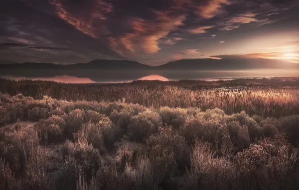 Field, clouds, light, mountains, fog, hills, dal, haze