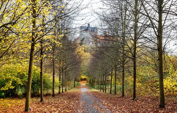 Picture autumn, Park, alley