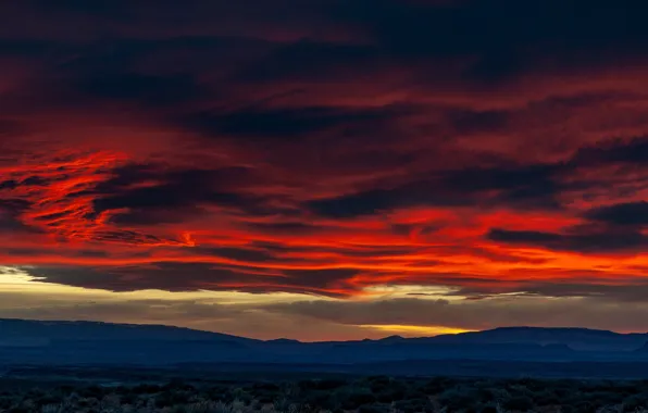 Picture field, night, clouds, nature