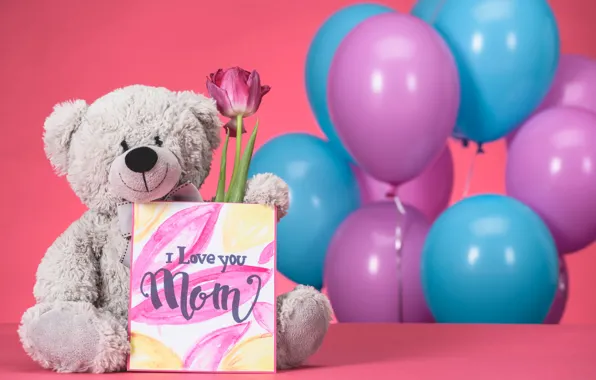 Bear, Holiday, postcard, women's day