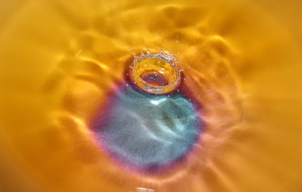 Picture water, orange, drop