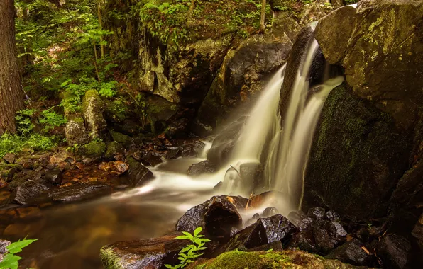 Picture leaves, stones, waterfall, stream