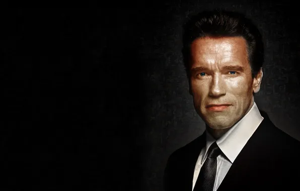 Picture portrait, actor, Arnold Schwarzenegger