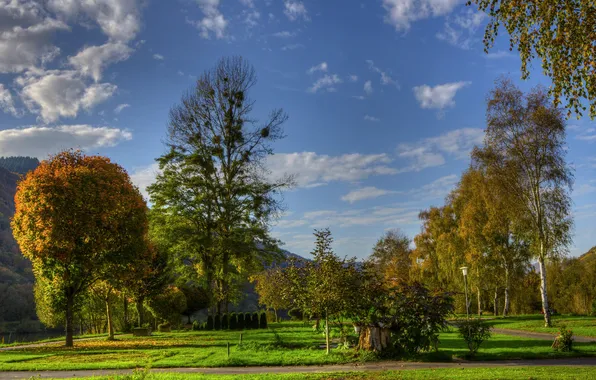 Picture greens, grass, trees, mountains, Park, track, Germany, Nehren