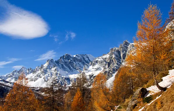 Autumn, the sky, snow, trees, mountains