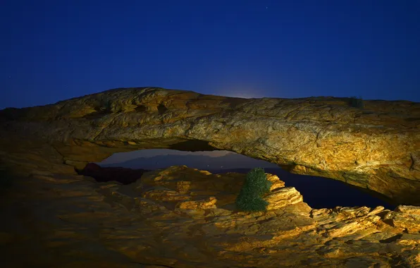 Picture the sky, light, night, tree, rocks, arch