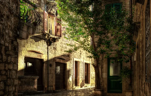The sun, house, tree, street, HDR, trees, street, Croatia