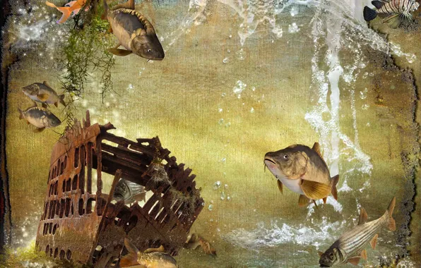 Style, background, ship, fish