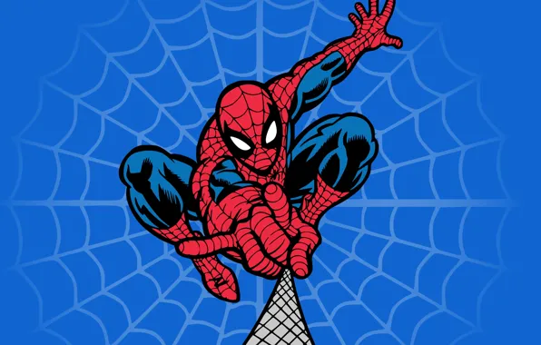 Picture network, web, costume, Spider-man, Marvel Comics