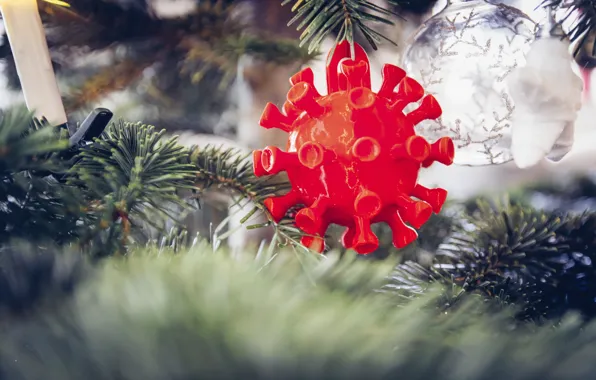Branches, red, holiday, ball, spikes, Christmas, New year, tree