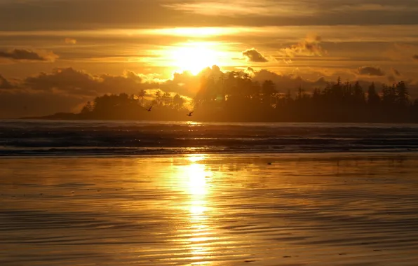 The sky, the sun, reflection, seagulls