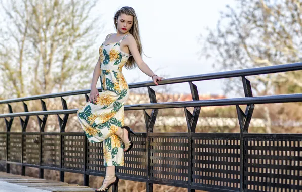 Picture bridge, model, dress, railings, Aily