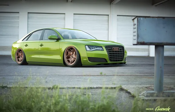 Picture green, Audi, green, Audi