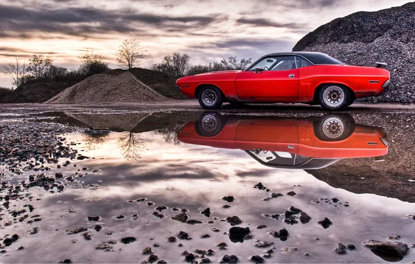 Picture Dodge, Challenger, American Muscle Cars