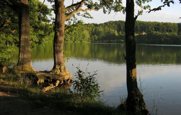 Picture nature, lake, photo, Poland, Marchowo, Jezioro