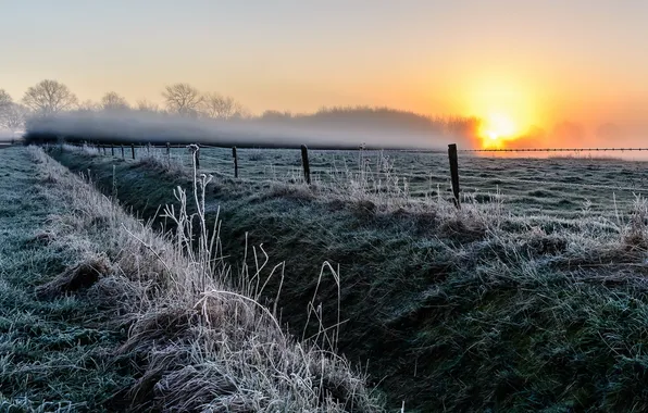 Picture frost, field, fog, the fence, morning