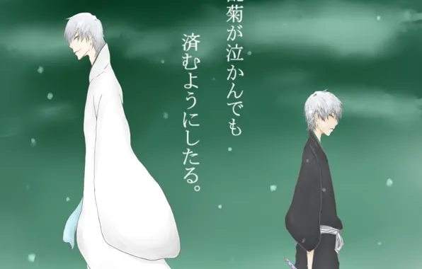 Bleach, bleach, Gin Ichimaru