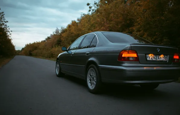 Background, BMW, E39, BBS, the asphalt, BMW E39