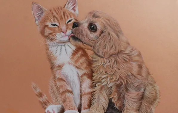 Picture cat, background, figure, dog
