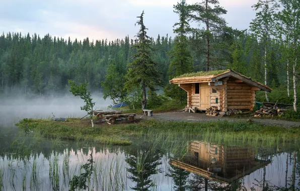 Forest, lake, reflection, hut, Norway