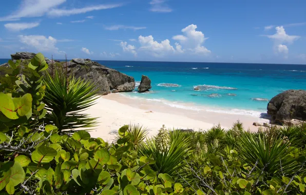 The ocean, coast, Bermuda, South Shore Park
