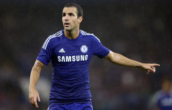 England, Sport, Football, Football, Club, Chelsea, Club, Sport