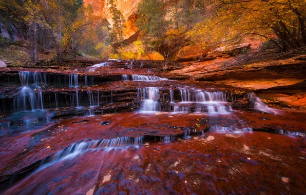 Autumn, trees, river, stream, rocks, foliage, waterfall, stream