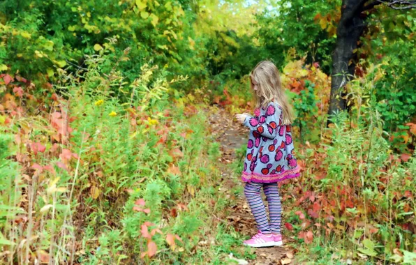 Picture autumn, nature, mood, girl