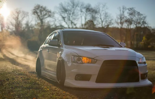 Forest, white, summer, the sun, the reflection, Mitsubishi Evo X