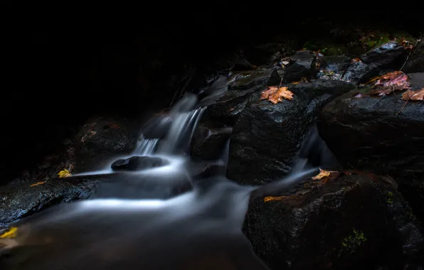 Picture autumn, leaves, the dark background, stones, waterfall