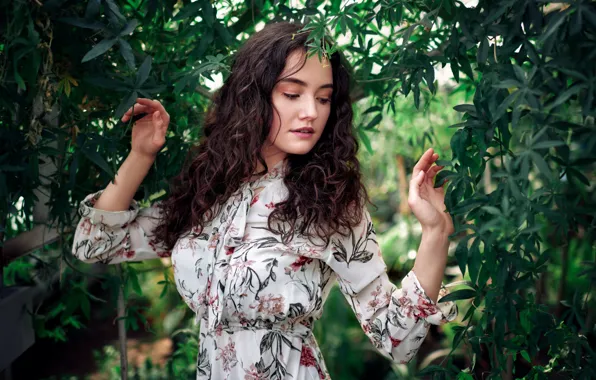 Girl, pose, vegetation, hands, dress, Sergey Olszewski, Alisa Musina