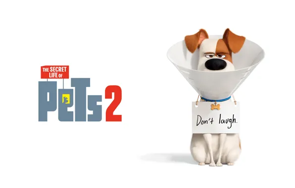 The inscription, cartoon, dog, white background, poster, character, Max, The secret life of Pets 2