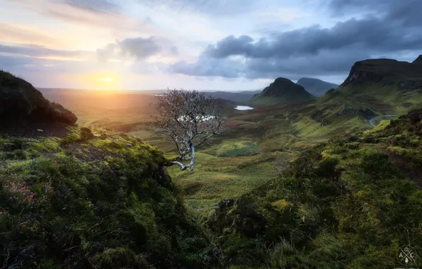 Clouds, mountains, tree, Scotland, UK