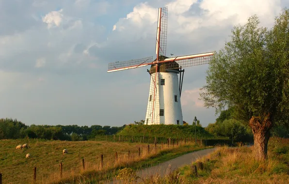 Road, the sky, clouds, trees, hills, sheep, mill