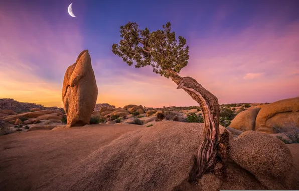 The sky, nature, stones, photo, the moon, a month, the evening, CA