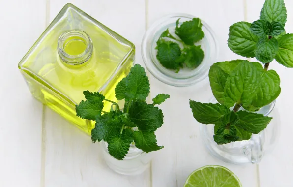 Leaves, plant, lime, bottle
