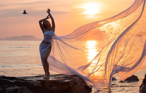 Sea, girl, the sun, sunset, bird, horizon, fabric, boulder
