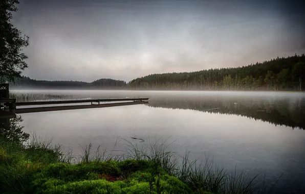 Picture forest, fog, river, morning, pier, haze