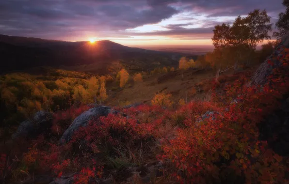 Autumn, forest, the sky, bright colors, the sun, clouds, landscape, sunset