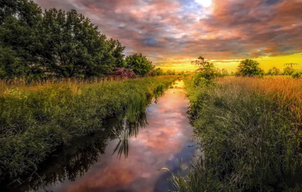 Picture greens, field, summer, grass, clouds, trees, landscape, sunset