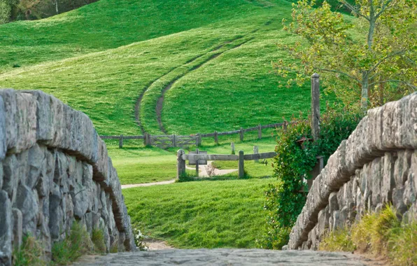 Wall, grass, Nature, road, landscape, tree, hill, stones