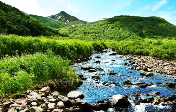 Picture greens, summer, mountains, nature, river, stream