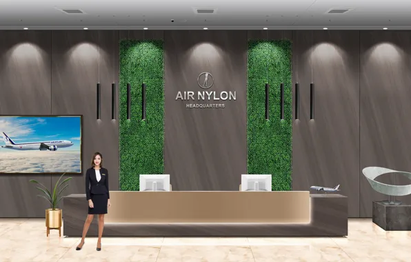Airplane, lobby, reception, office lady, reception desk